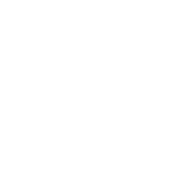 Smart Web Presence call you