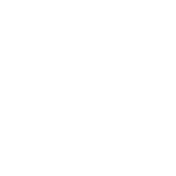 Smart Web Presence andriod